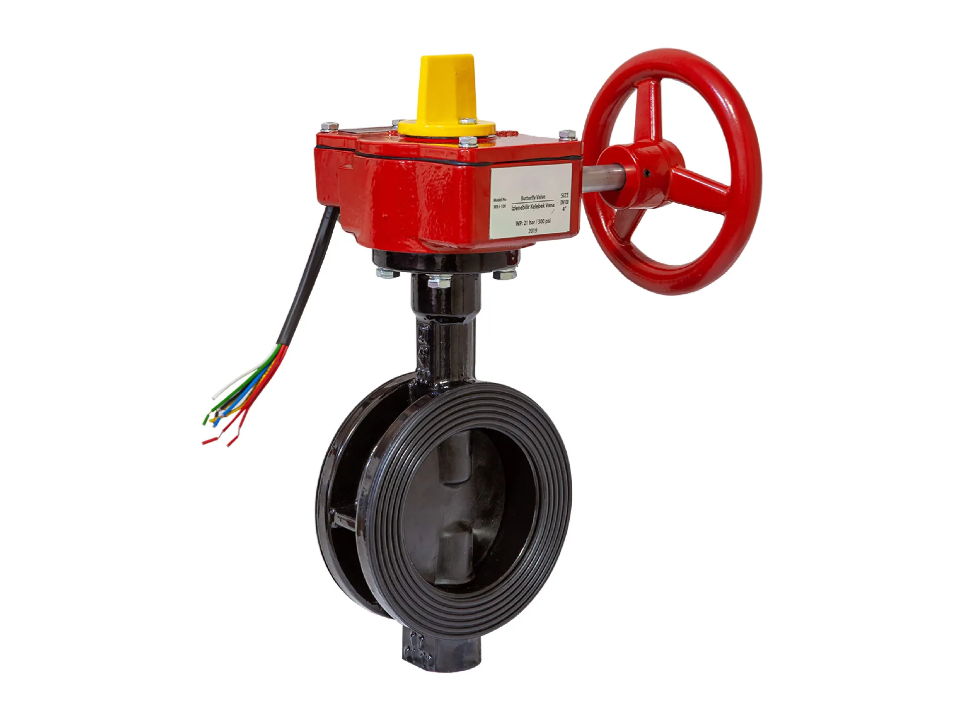 Supervised Butterfly Valve