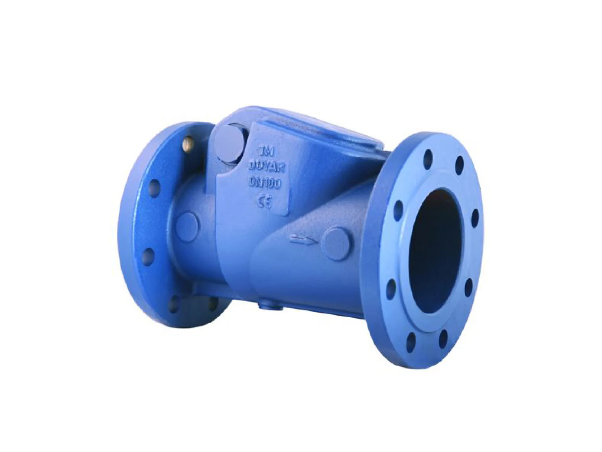 Check Valve