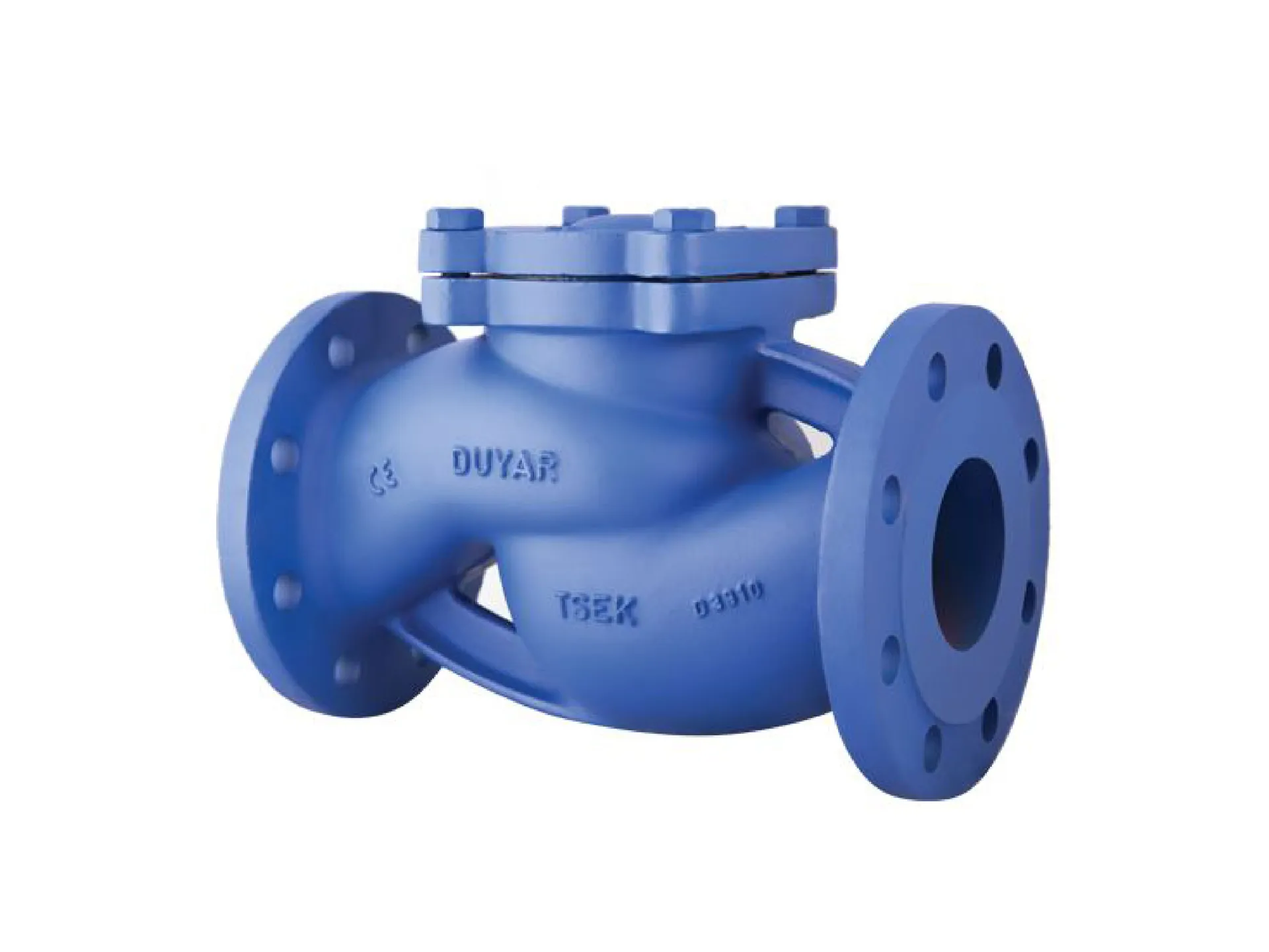 Check Valve