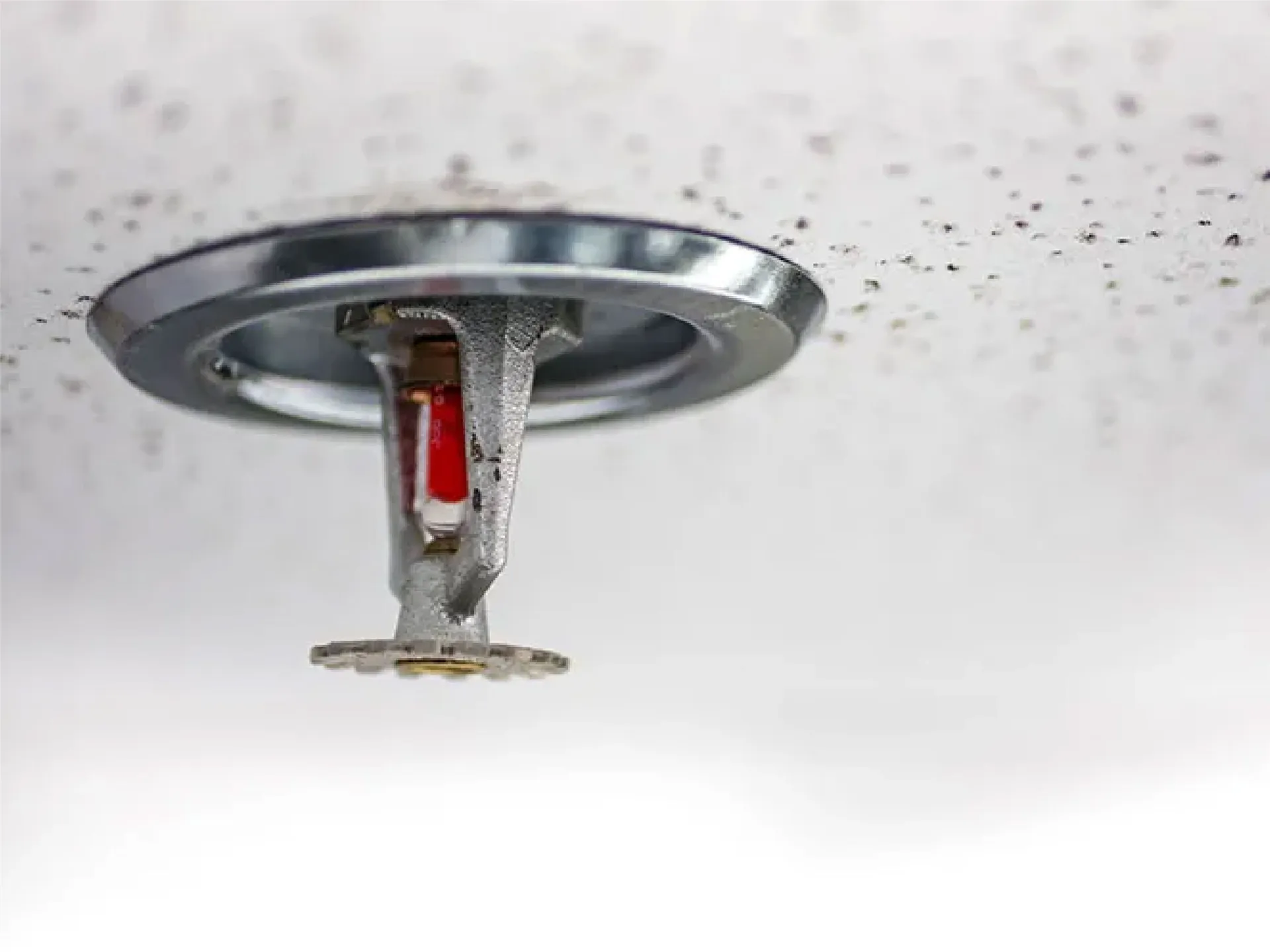 Importance of Sprinkler Systems in Industrial Facilities